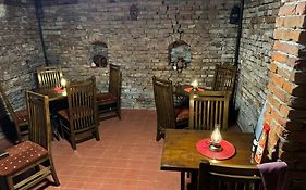 Casa Nedelcu